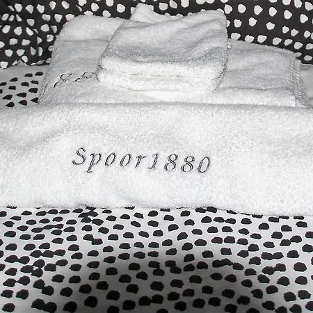 Spoor1880